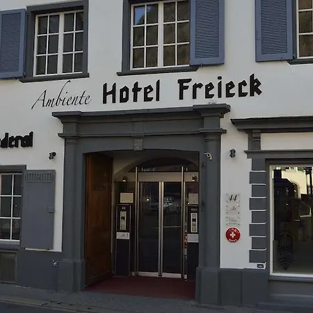 Ambiente Freieck Hotel 3*