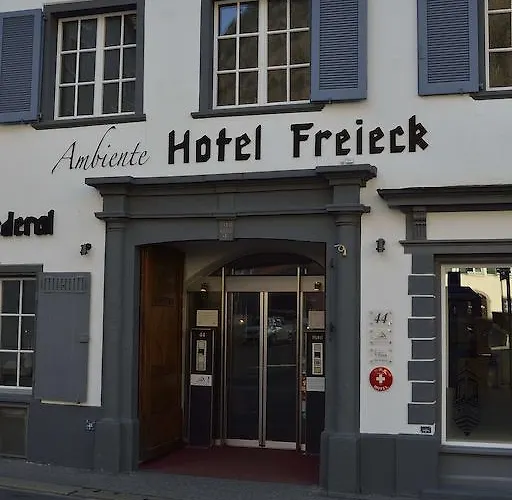 Ambiente Freieck Hotel 3*
